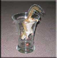Streifis können in einer Vase ertrinken