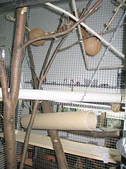 Inneneinrichtung Käfig Baumstreifenhörnchen